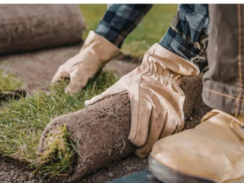 Memorial, TX Sod Installation