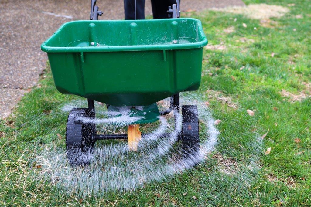lawn fertiliser application for healthy green grass