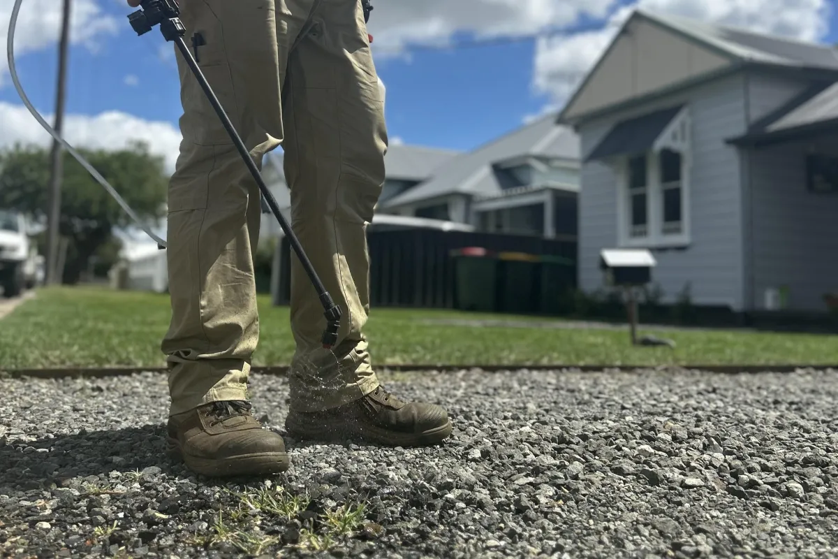 Lawn Fertilisation Cessnock