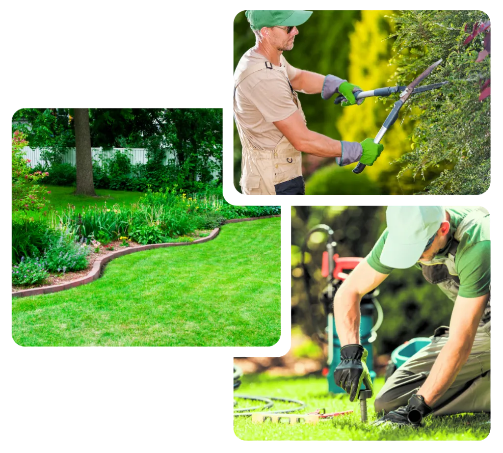 Professional residential landscaping and lawn maintenance service in West Phoenix