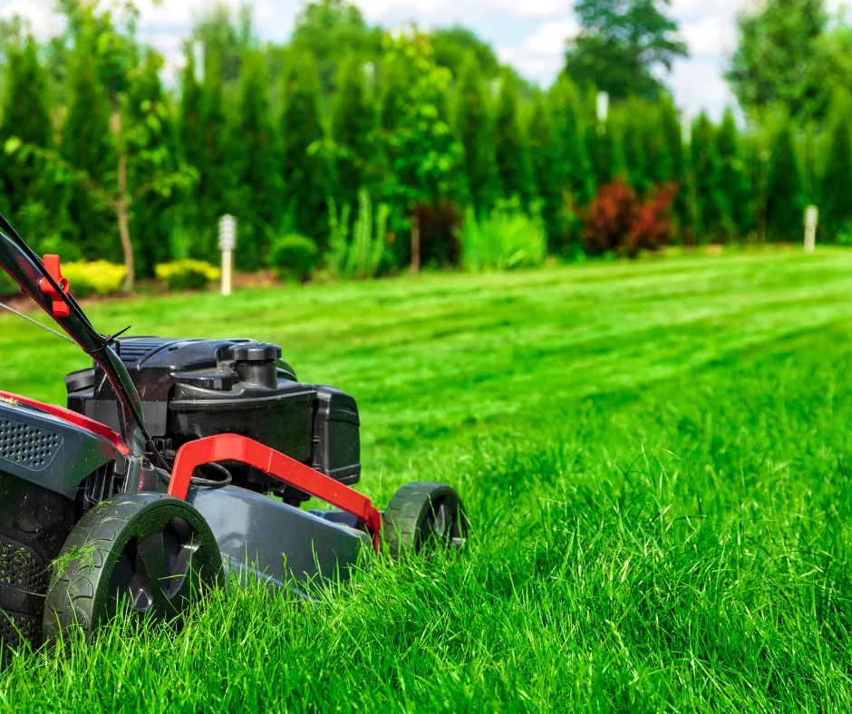 lawn care in west phoenix