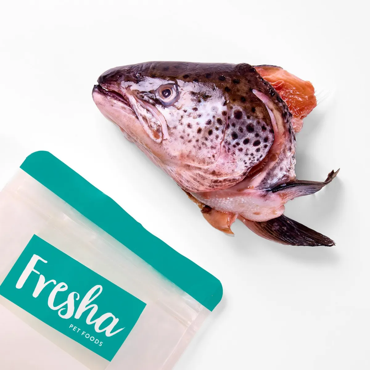 Raw salmon heads for dogs and cats