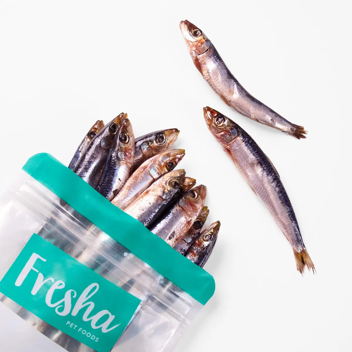 Sardines for dogs and cats