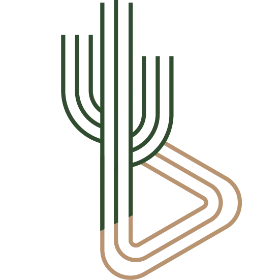 Zona Visuals Logo