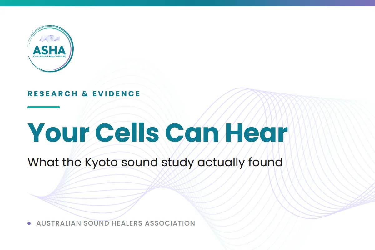 Your Cells Can Hear: What the Kyoto Sound Study Actually Found