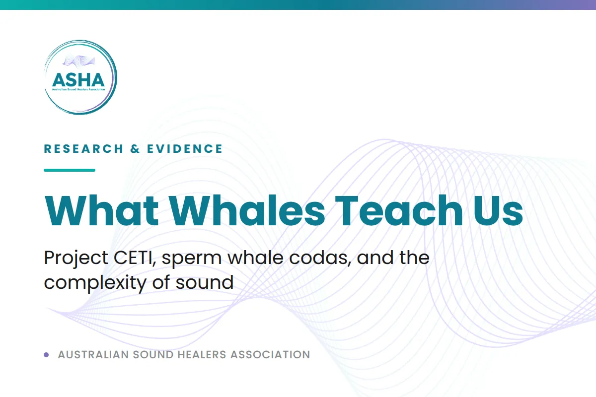 What Can Whales Teach Us About the Complexity of Sound?