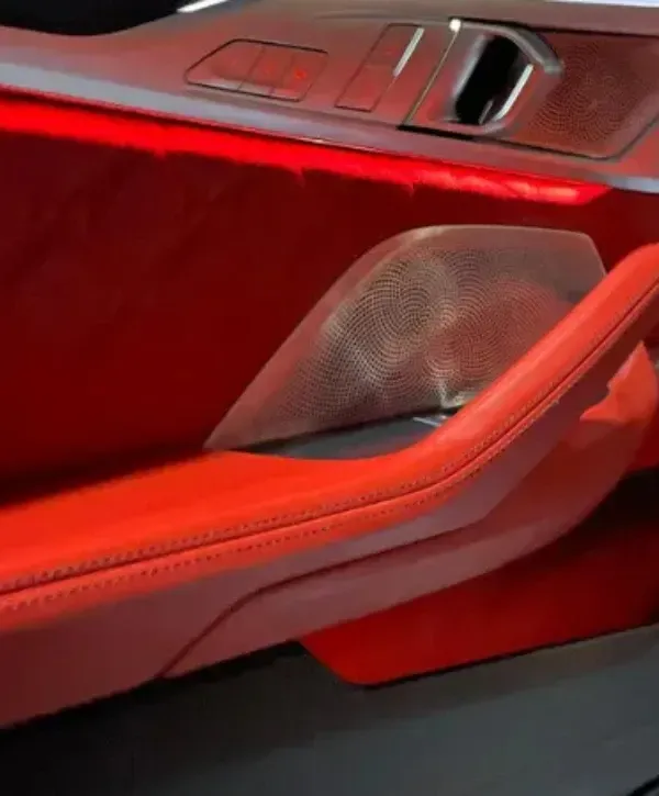 Close-up of luxury car interior door panel with red leather and premium speaker grille