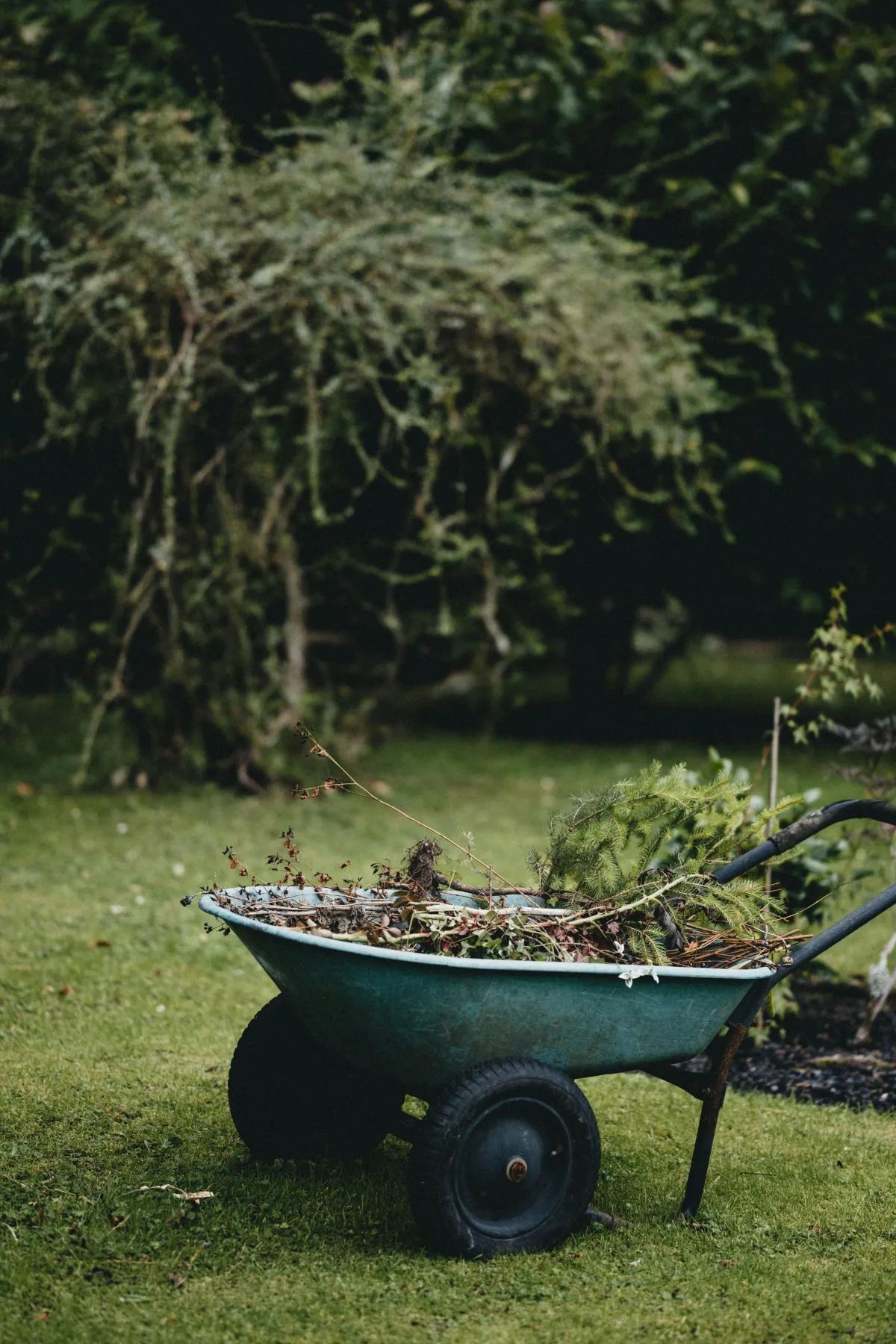 Garden clearance in Gosport - overgrown garden cleared by Four Seasons Fencing & Landscaping