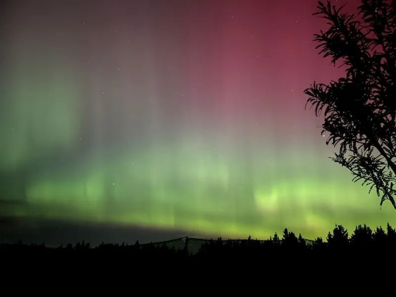 The Southern Lights, Aurora at Hampden Heaven 
