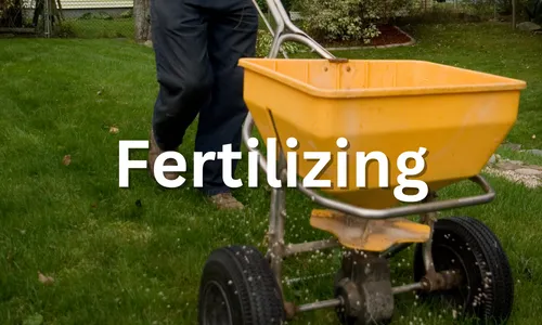 Lawn Care Solutions Fertilizing 