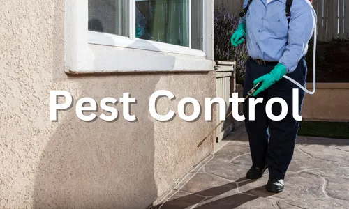 Lawn Care Solutions Pest Control