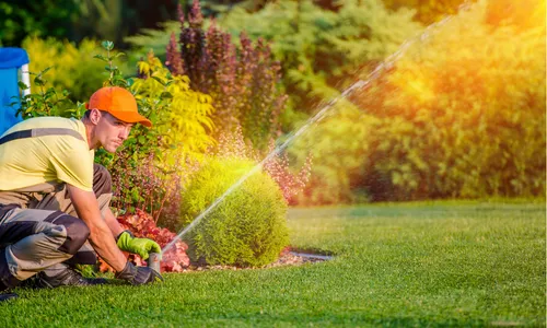 Lawn Care Solutions Weed Control 