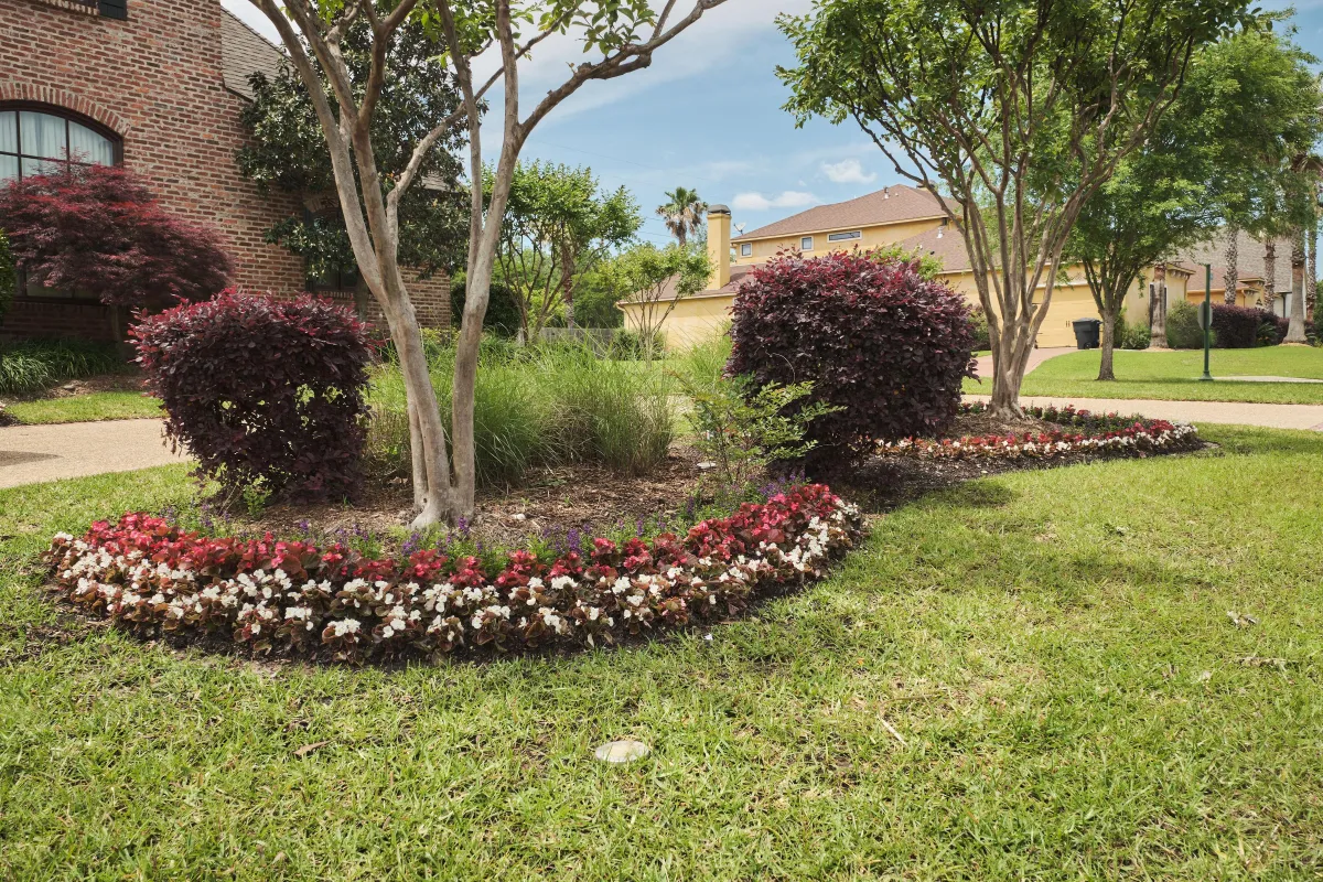 lawn care solutions shreveport annual color