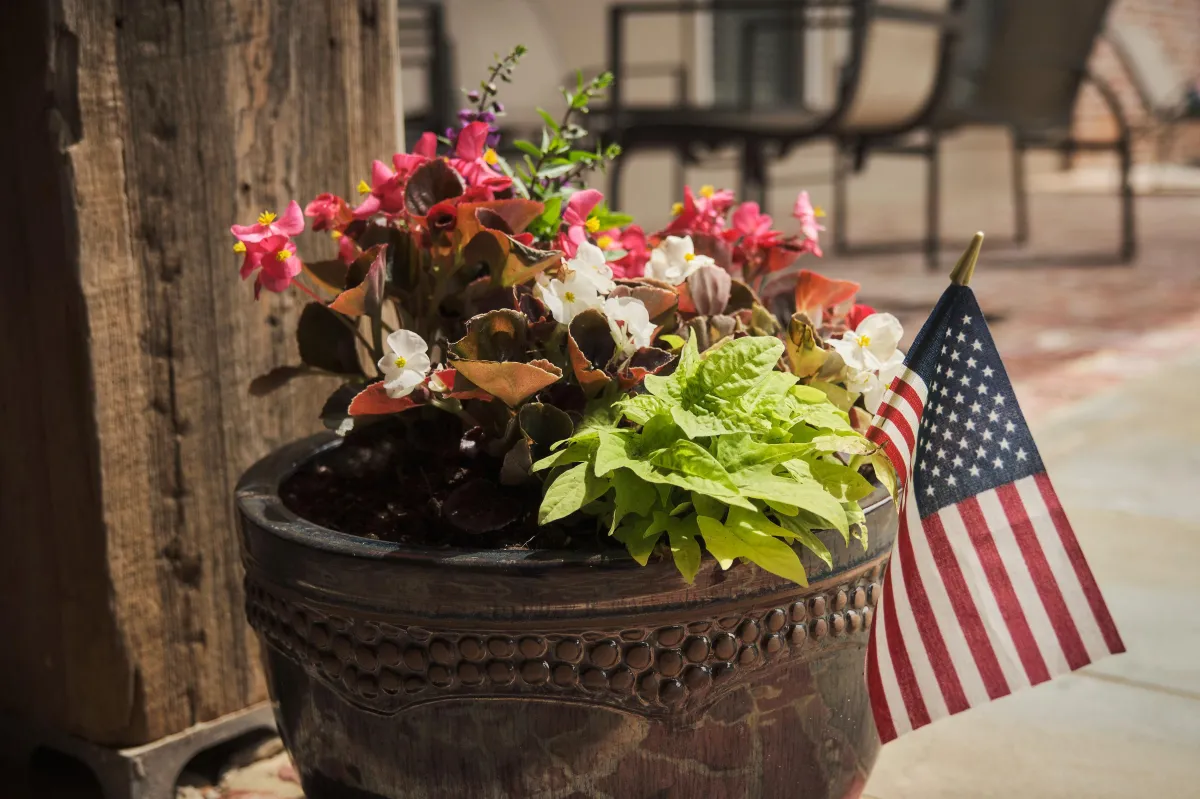 lawn care solutions shreveport flower pot installation