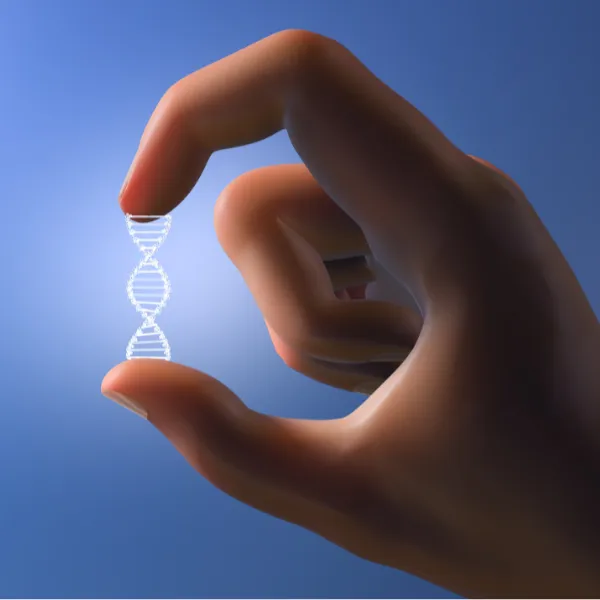 hand holding a small strand of DNA