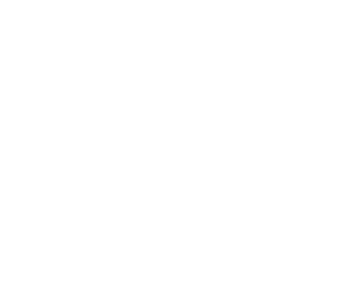 Foca Systems