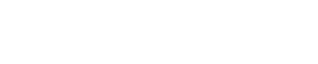 Our Company's Guiding Principles
