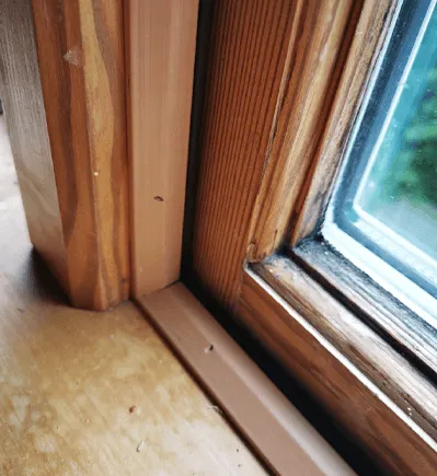 Timber joinery draught stopping using EVS products South Taranaki