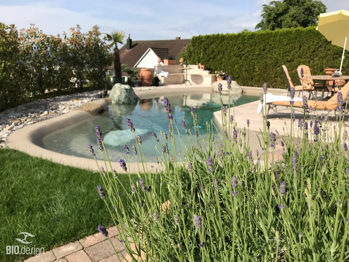 Ein idyllischer, organisch gestalteter Pool mit klarem Wasser, umgeben von einer natürlichen Uferzone mit Kieselsteinen und grüner Rasenfläche. Im Vordergrund blüht Lavendel, während im Hintergrund Sonnenliegen mit Polstern, ein gelber Sonnenschirm und ein runder Tisch mit Stühlen auf einer erhöhten Terrasse stehen. Eine dichte Hecke und mediterrane Dekorationselemente wie Terrakotta-Töpfe sorgen für eine gemütliche Atmosphäre.