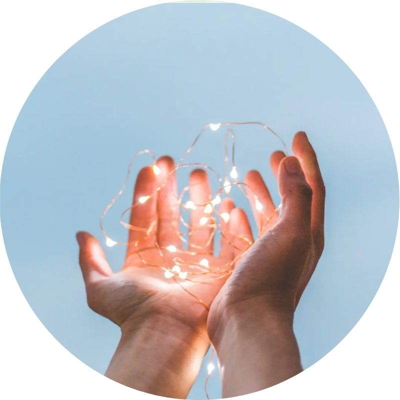 The Wellness Theory - Values - Impact