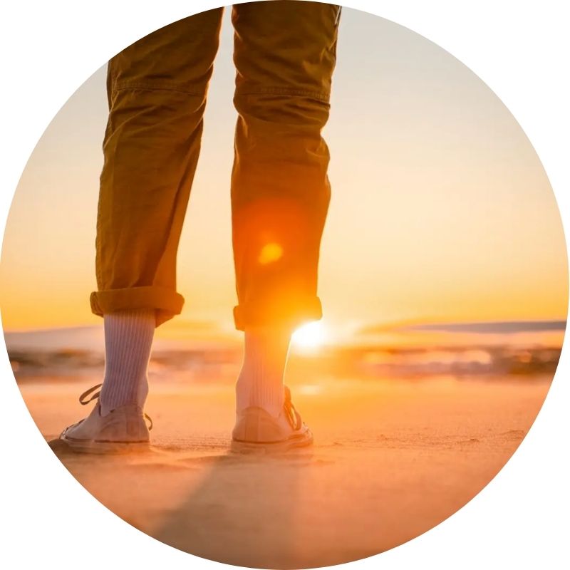 The Wellness Theory - Values - Vibrance