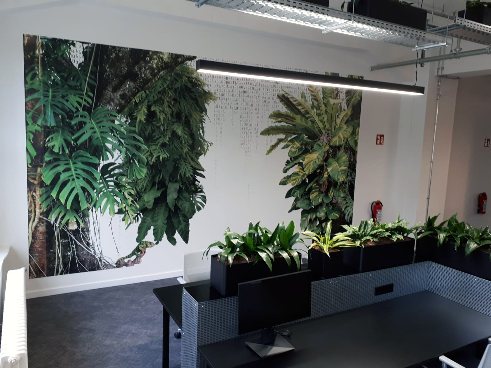 Corporate interior · Drywall · Installed in 4 hours