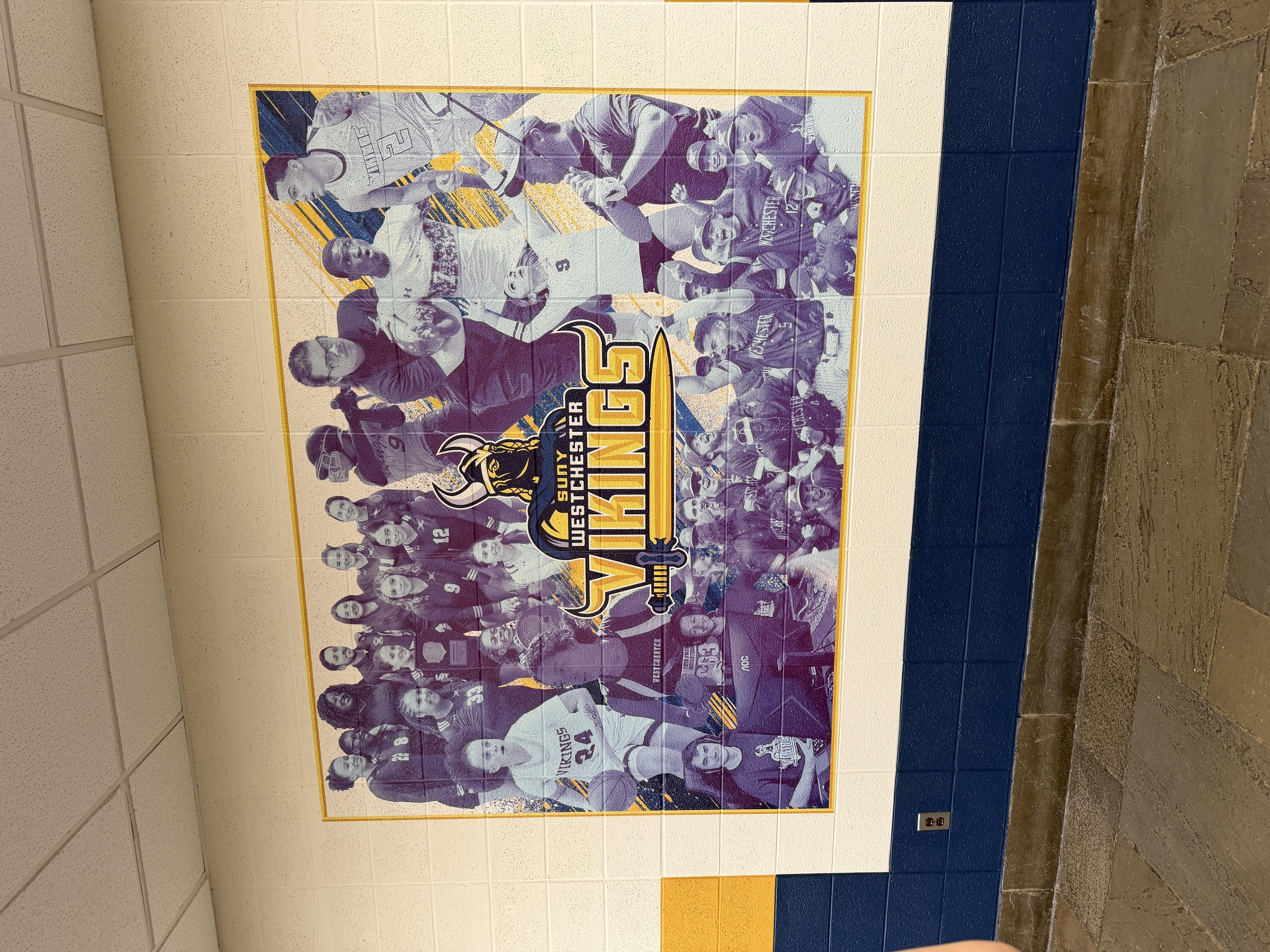 Educational wall mural at university campus hallway