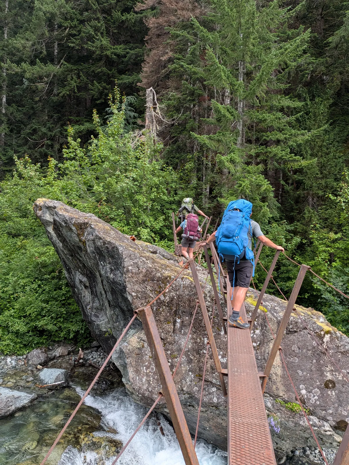 5 Awesome Hikes in the Victoria Area That AREN’T Mount Doug, Fin, or Work!