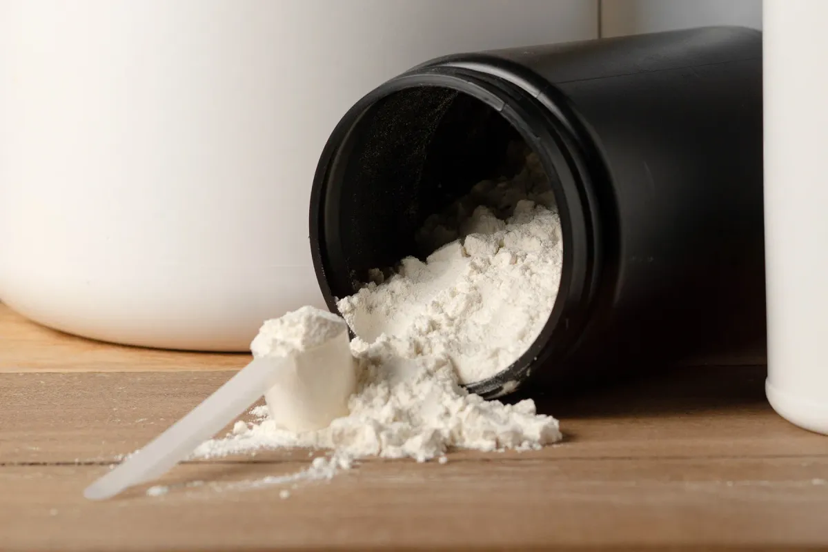 The Bioavailability of Creatine: What You Need to Know