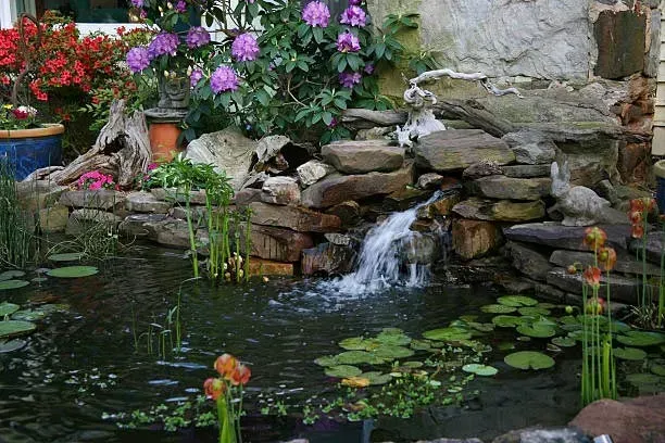 beautiful Pond at Proud Ponds