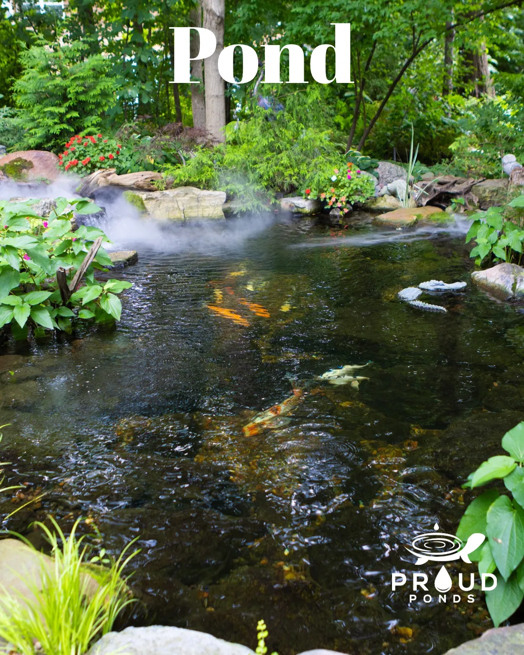 Enhance Your Pond with Easy Add-On Features