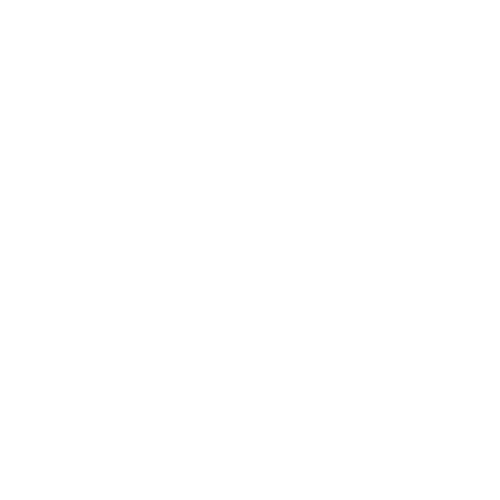 Enterprise RAG Systems