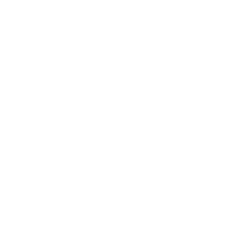 Autonomous AI Agents