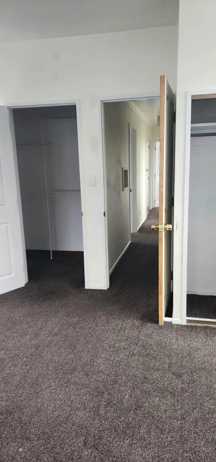 Deep cleaned hallway carpet in a residential Dunedin property with open closets