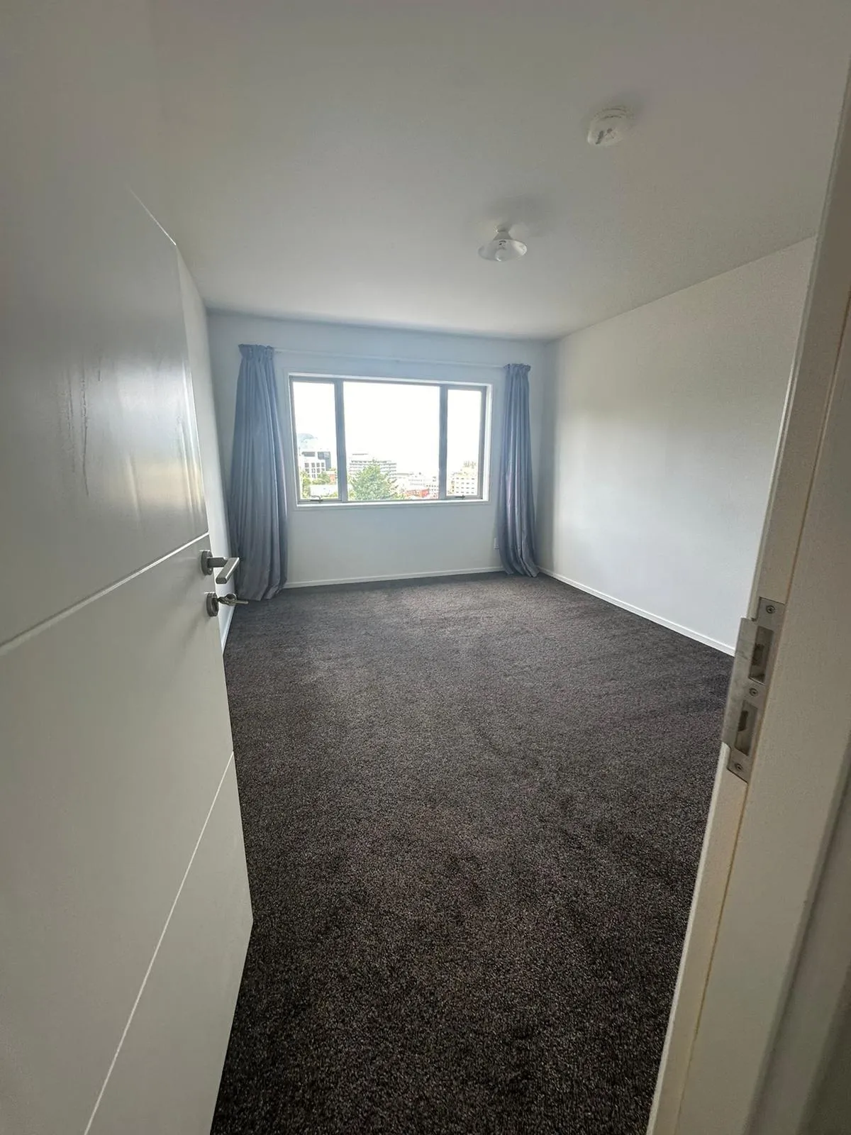 bedroom carpet after renovation clean