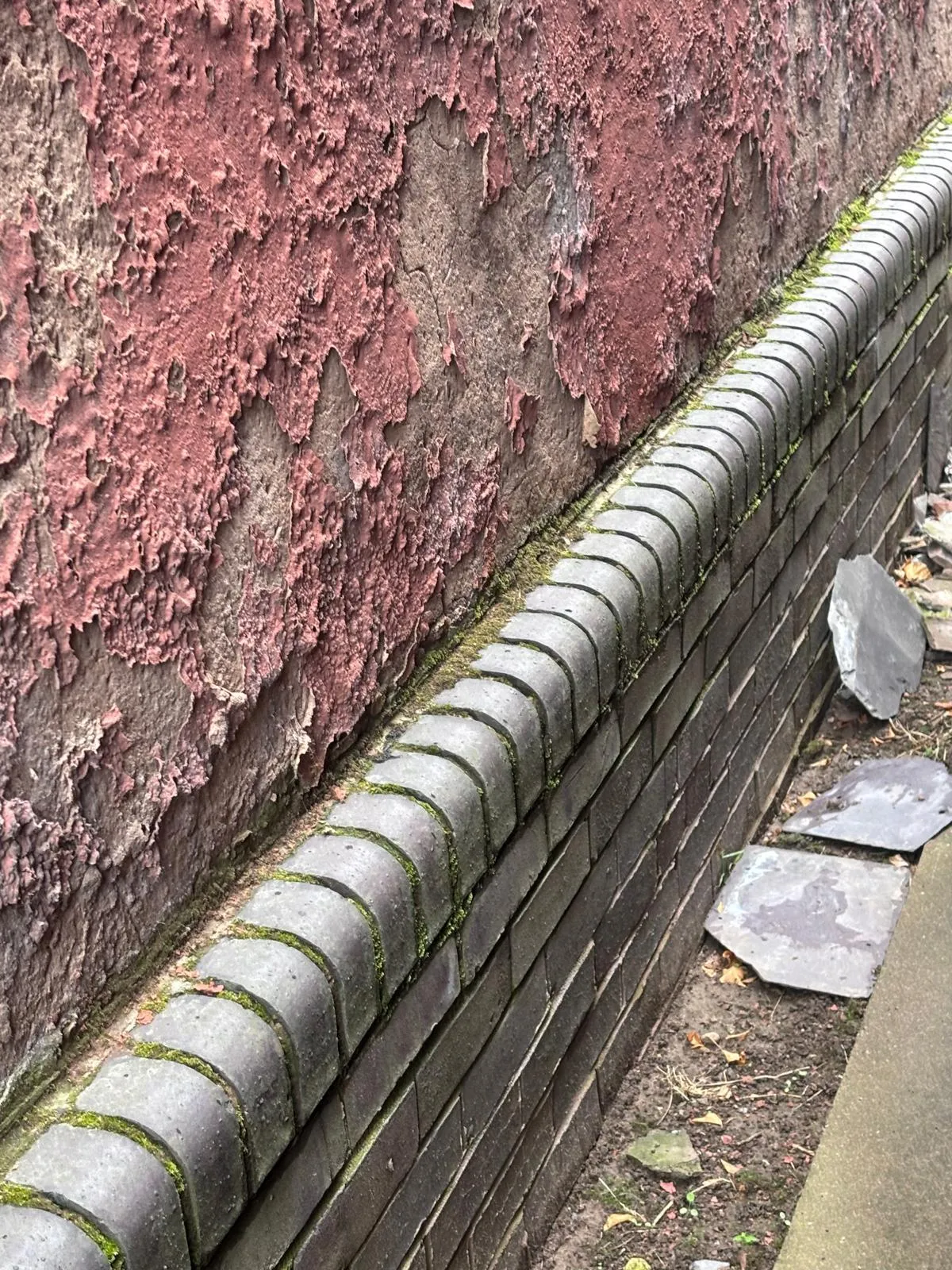  Damp Treatment