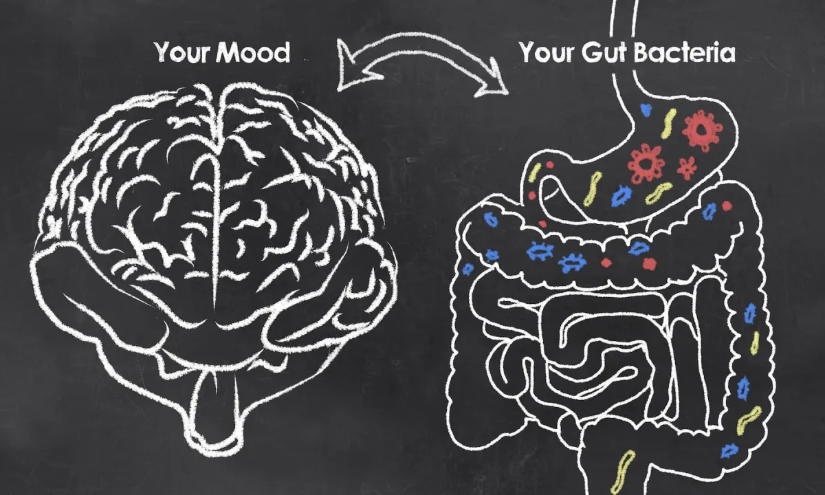 Holistic Weight Loss Elite Sexual Hormone Health