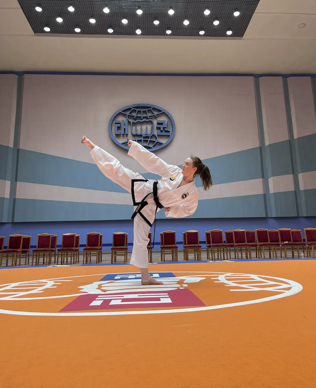 Evolution Martial Arts in North Korea: Following the History of ITF Taekwon-Do