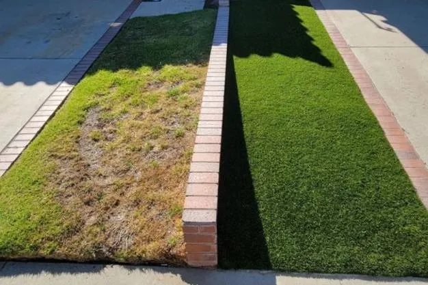 artificial turf putting green installation