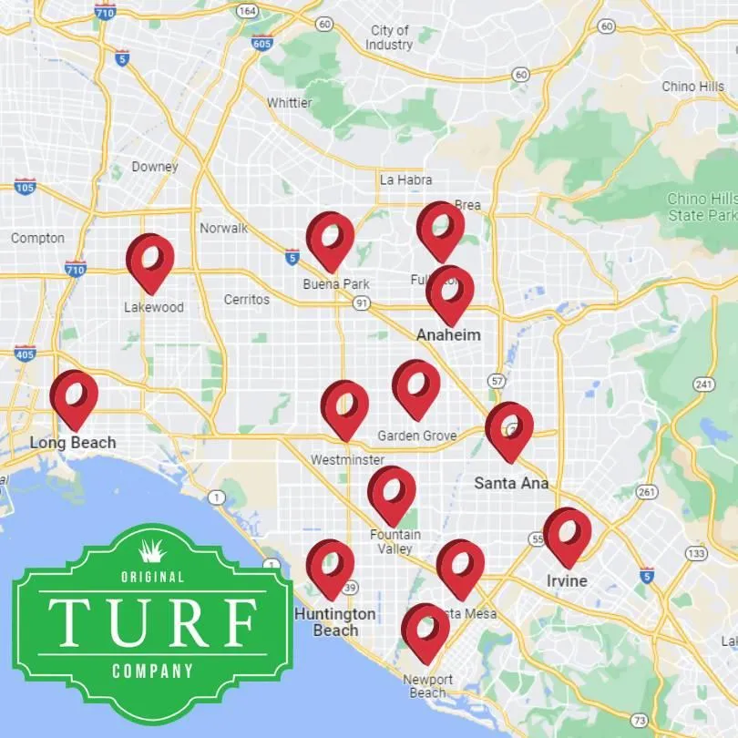 best local turf installers