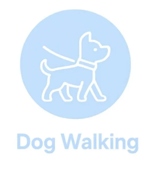 Dog walking