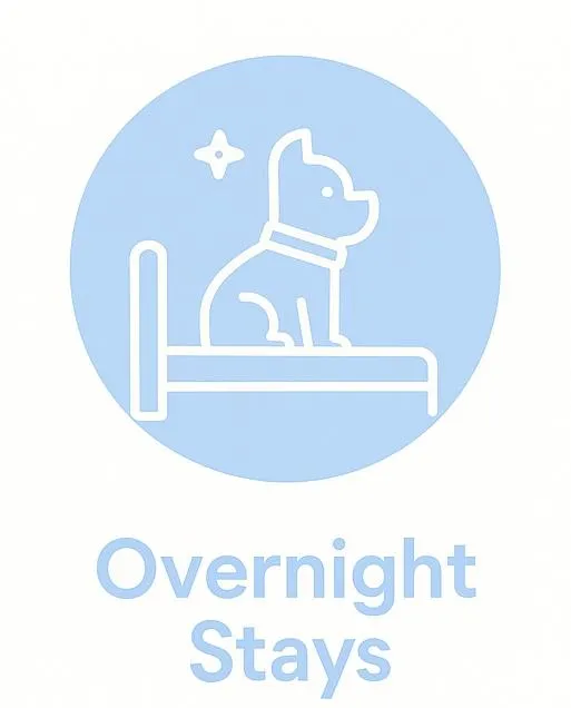 Overnight pet stays