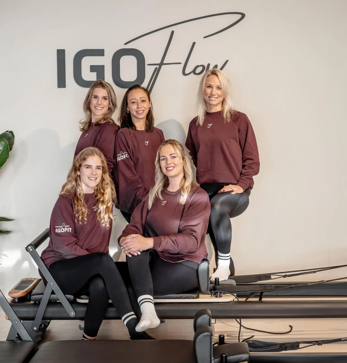 Reformer Pilates oefeningen bij IOFIT in Emmeloord
