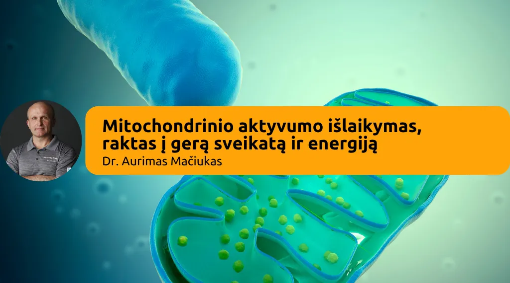 a gym with exercise equipment