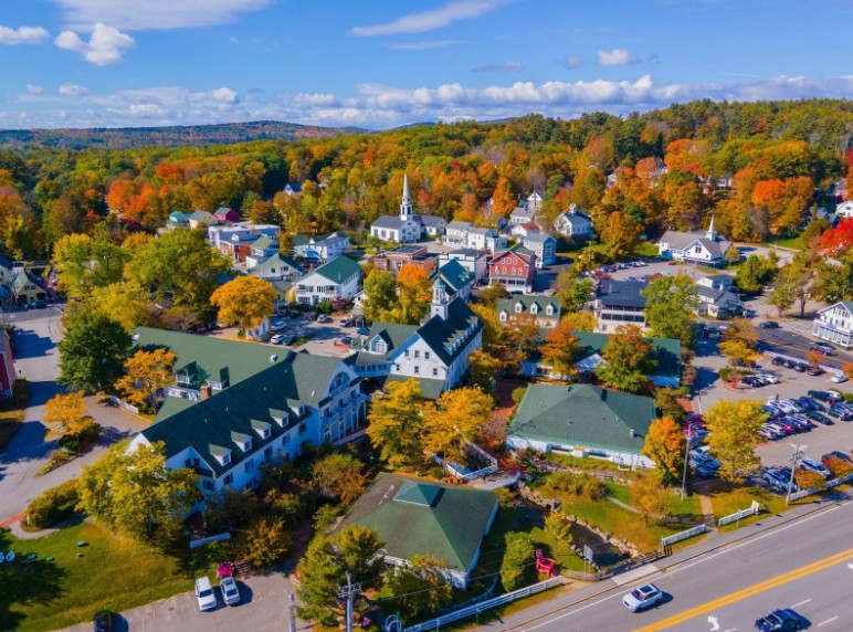 Aerial view of a Southern New Hampshire neighborhood with mature trees and proximity to a local school and park.