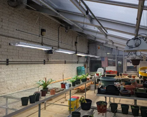 Residential Electrical Services 