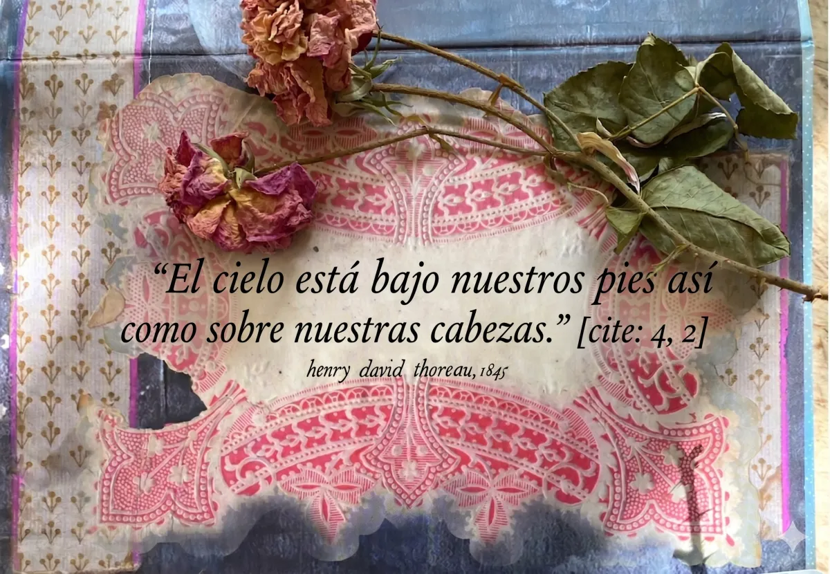 Cartas de amor: El Journaling como Puente de sanación y consciencia