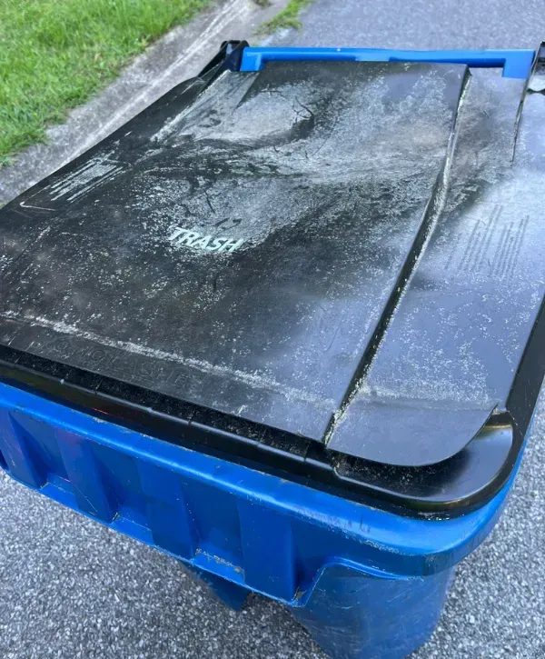 Close-up of a blue trash bin with a black lid placed on the roadside