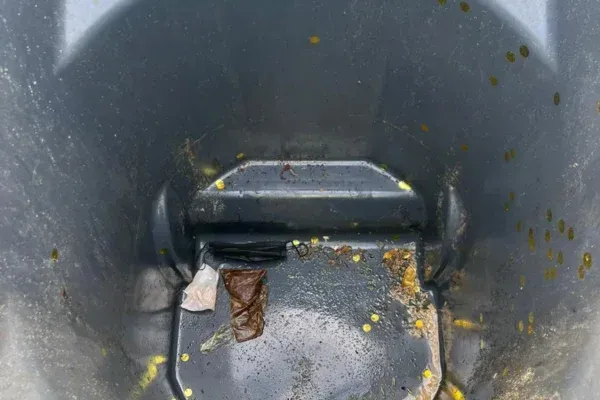 Inside view of a dirty, wet, grey garbage can with food debris, plastic, and a black face mask.
