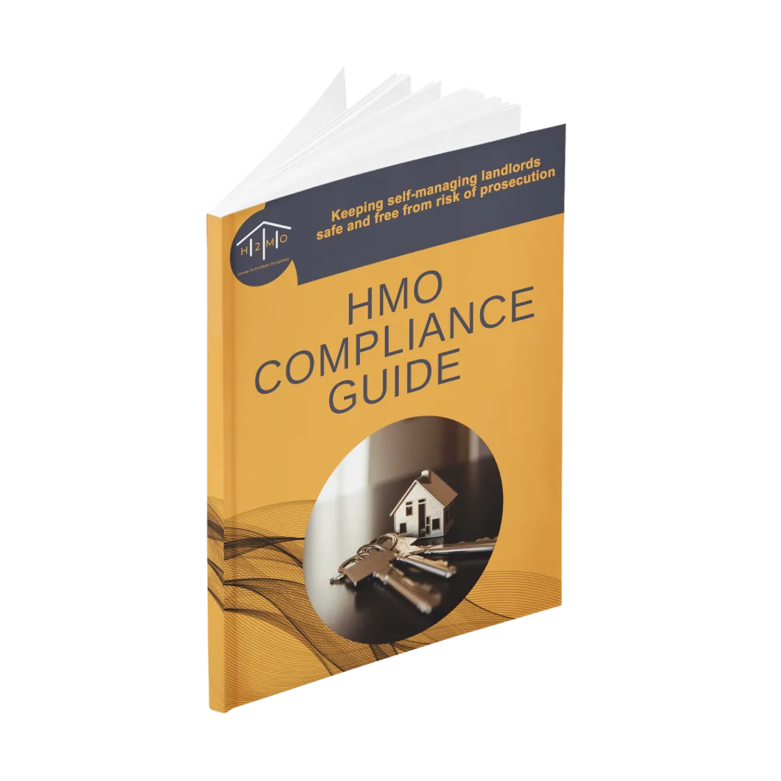 HMO COMPLIANCE GUIDE